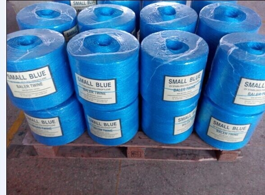 Greenhouse Tomato Banana Twine , PP Multi Span Agricultural Twine