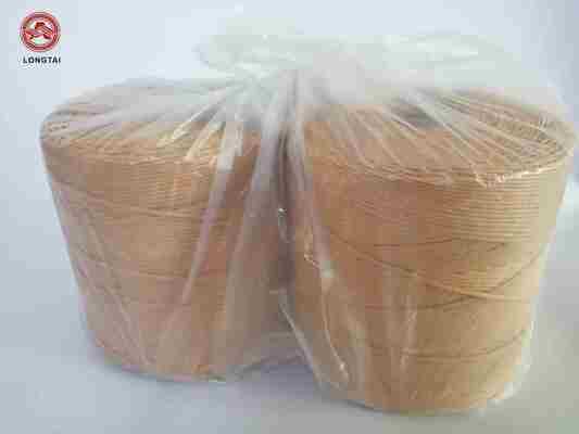 PP Twine for Mats Webbing Weft