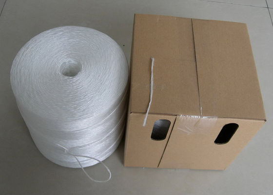 PP String for agriculture tomatoes