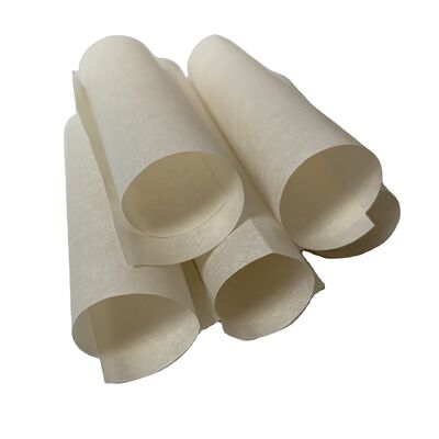 مقاومت عایق 1.12 برابر 10 به توان 14 اهم، کاغذ عایق موتور مهندسی شده برای مقاومت در برابر حرارت تا 300 درجه سانتیگراد